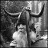 Moondog par Norbert Nowotsch.